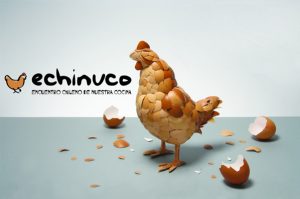 EchinucoMono-IN