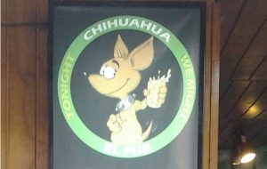 chihuahuapub2