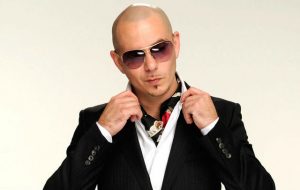 pitbull2