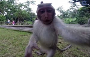monito selfie2