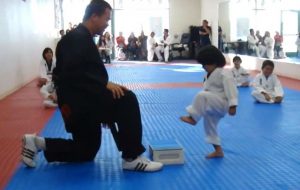 tae kwon do viral2