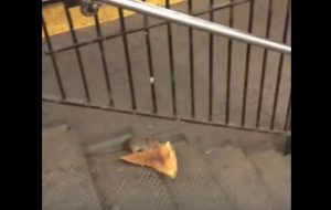 pizzarat2