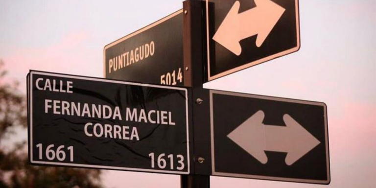 Calle Fernanda Maciel