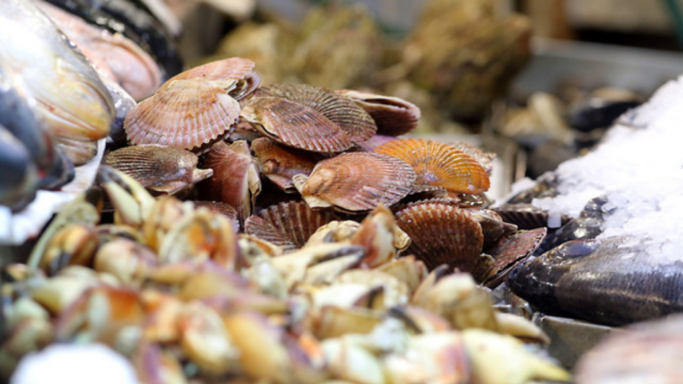 Semana Santa Agencia Uno