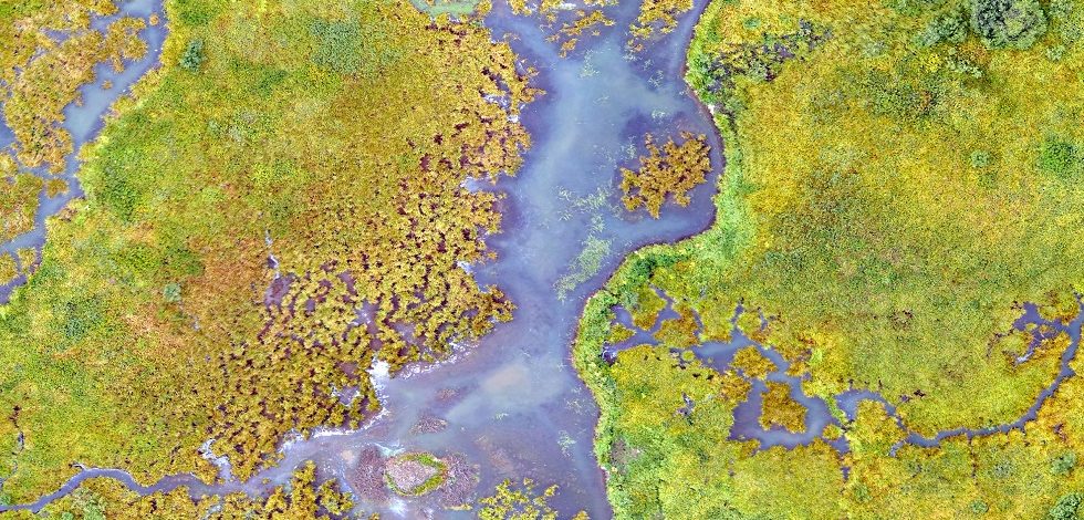 Plataforma Mundial De Datos Satelitales