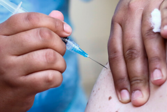 Proceso De Vacunación