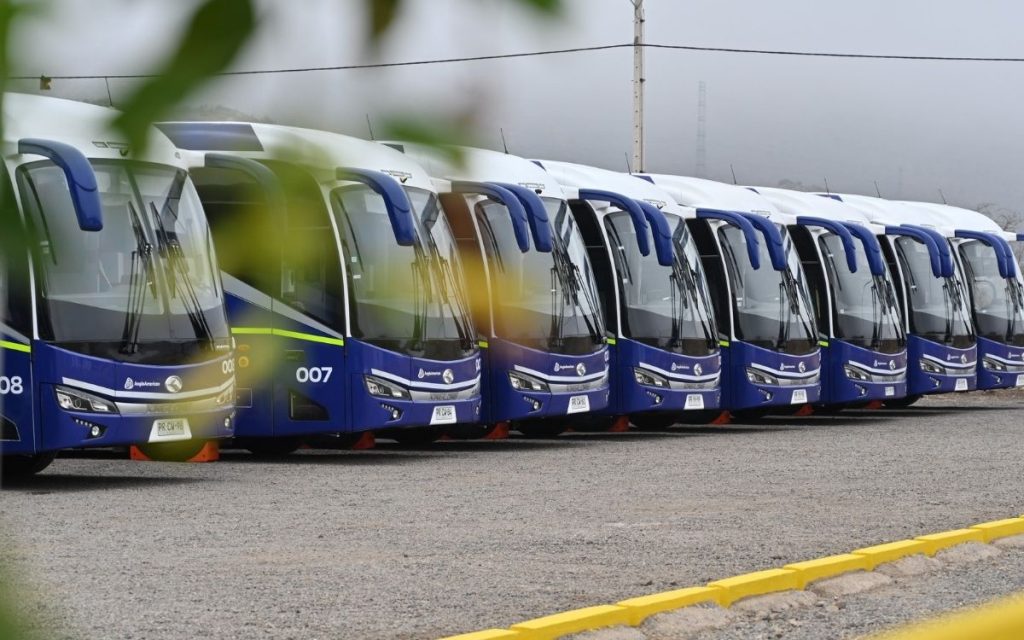 Buses Eléctricos