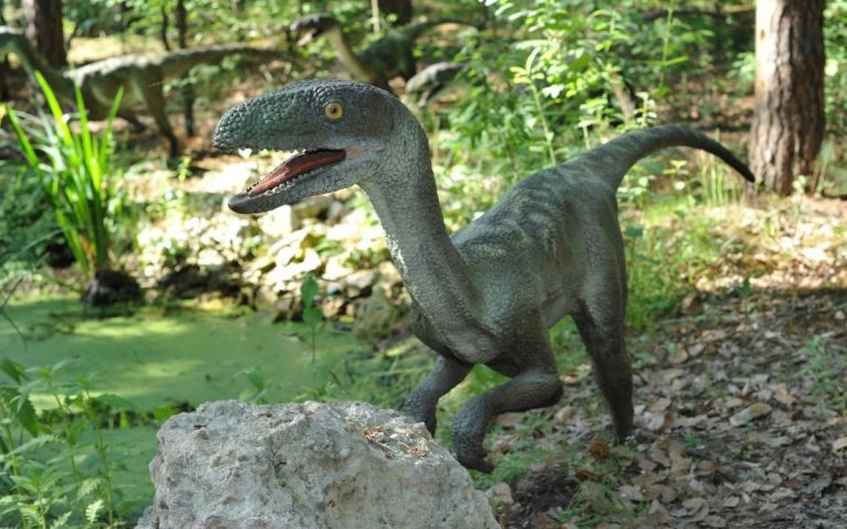 dinosaurio velociraptor