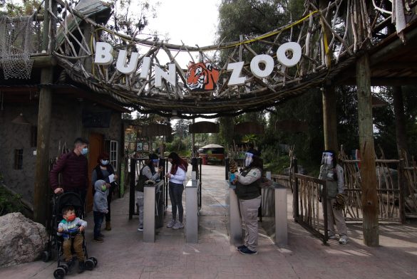 Buin Zoo Reabre Sus Puertas Tras Estar Siete Meses Cerrado