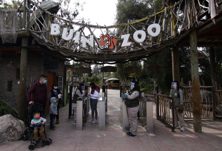 Buin Zoo Reabre Sus Puertas Tras Estar Siete Meses Cerrado