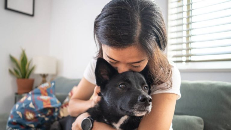 ¡Atención! Lanzan primera Encuesta de Tenencia Responsable de Mascotas