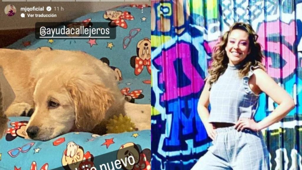 Maria José Quintanilla