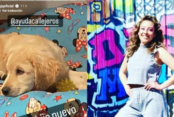 Maria José Quintanilla