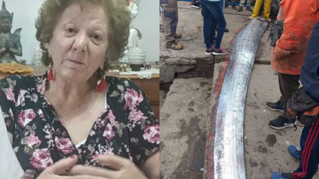 Tía Yoli y Pez Remo