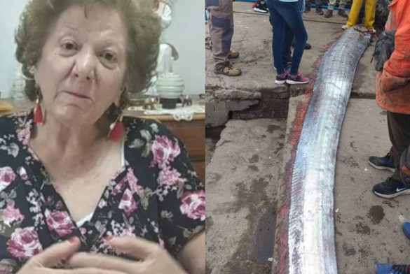 Tía Yoli y Pez Remo