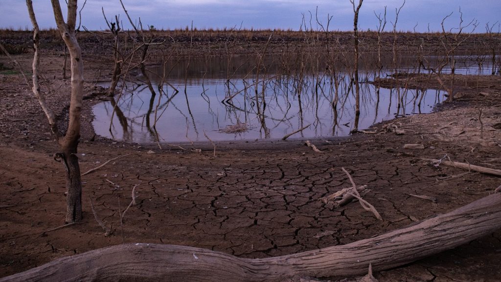 Severe Drought Leaves Hydroelectric Reservoir Below Threshold And Exposes Bottom Trees