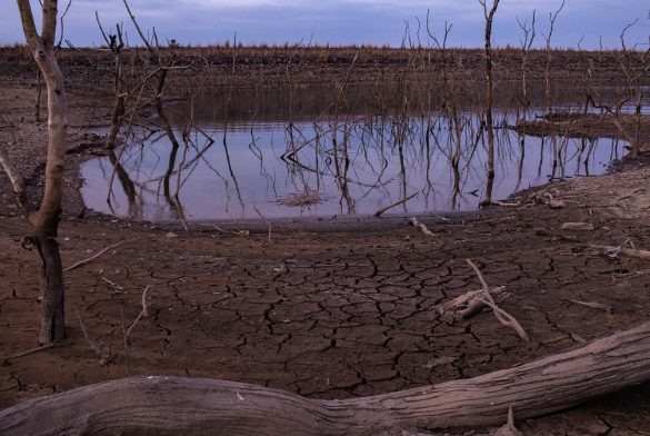 Severe Drought Leaves Hydroelectric Reservoir Below Threshold And Exposes Bottom Trees