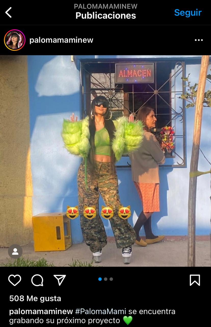 Instagram @palomamaminew