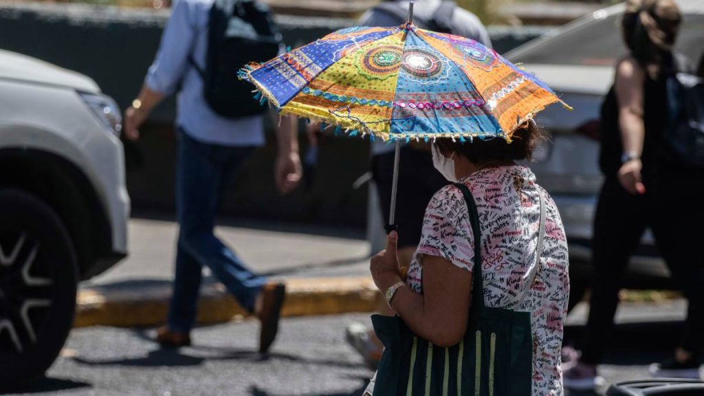 Plebiscito De Salida