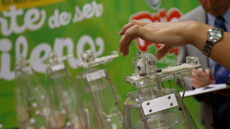 La Suerte De Ser Chileno