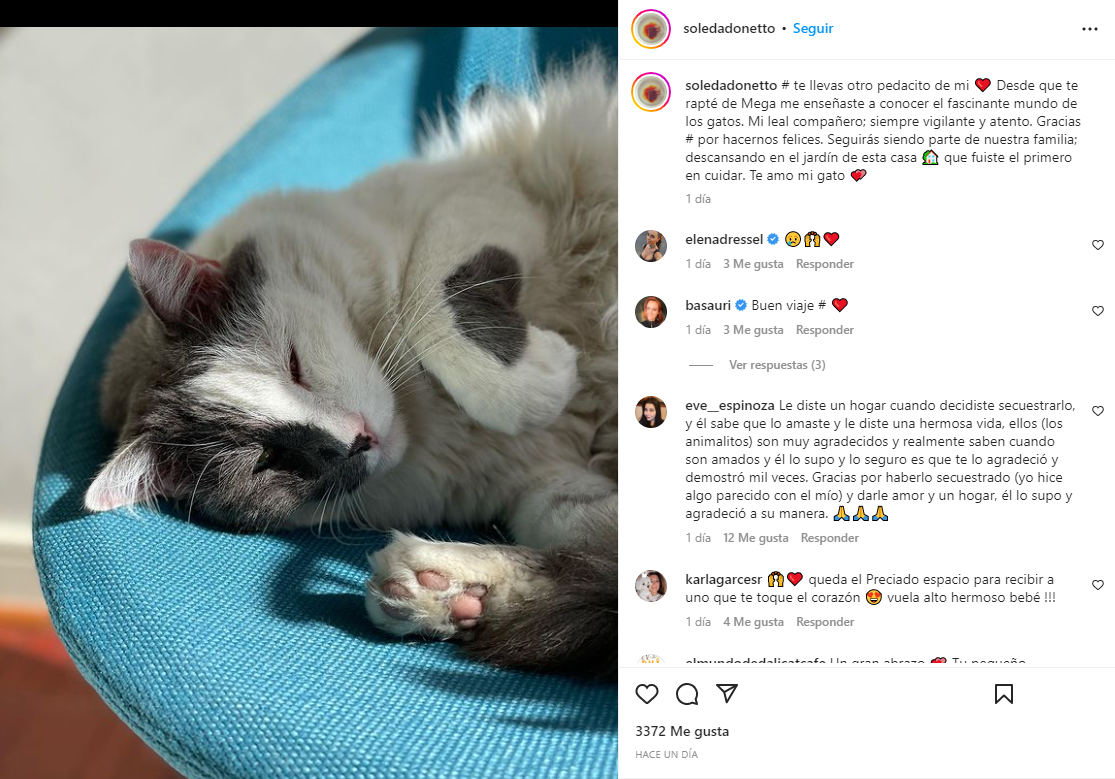 Soledad Onetto Instagram