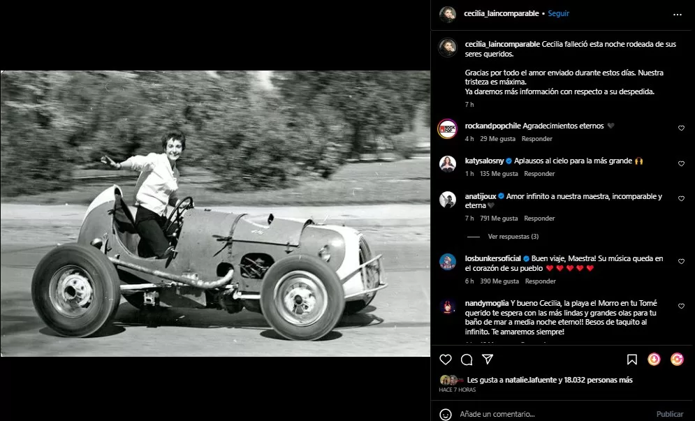 Instagram @cecilia_laincomparable