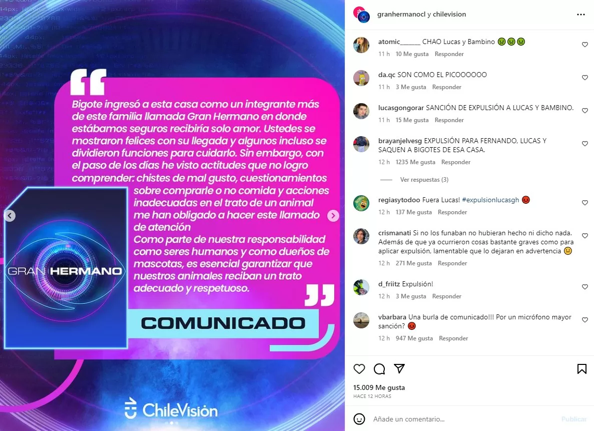 Instagram @granhermanocl