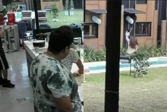 Pincoya Piscina Gran Hermano Chile