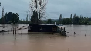 BeFunky Collage 2023 08 22T122841.514