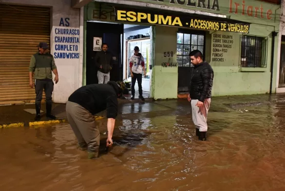 Santa Cruz Inundaciones Sistema Frontal, Bonos