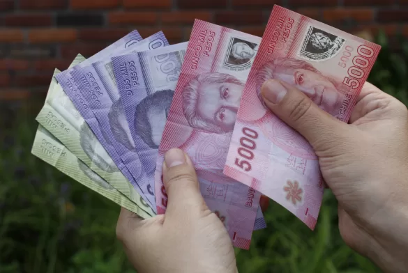 Bono Trabajo Mujer Pago Enero