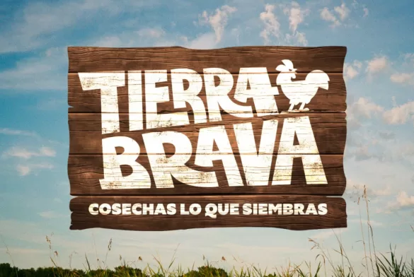 El Final De Tierra Brava