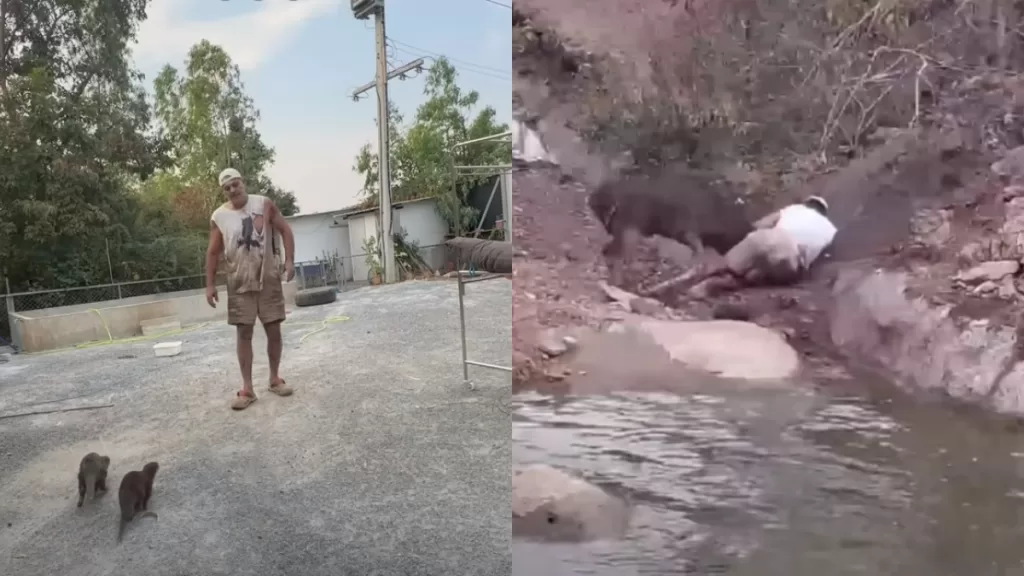 Frank Cuesta Video (1)