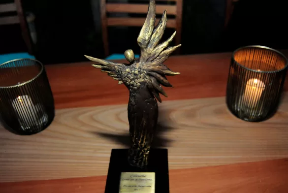 Premios Caleuche 2024