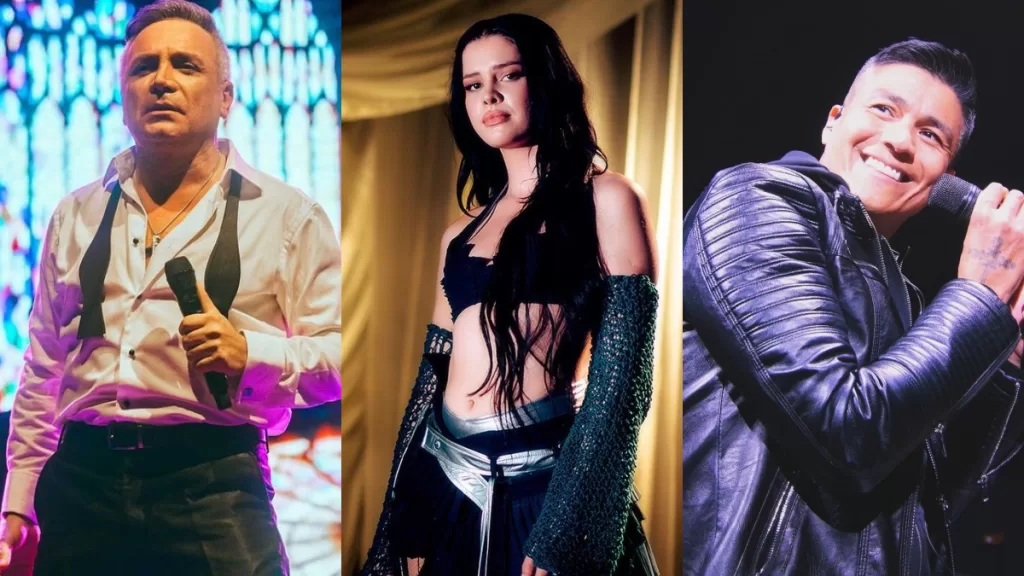 Día Del Amor Por Chile