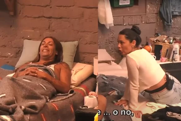 Daniela Aranguiz Pierde La Paciencia Contra Botota Fox, Te Han Engañado 20 Veces