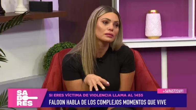 Faloon Vuelve A La TV