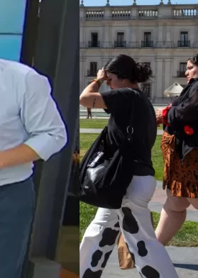 Calor En La Región Metropolitana (15)