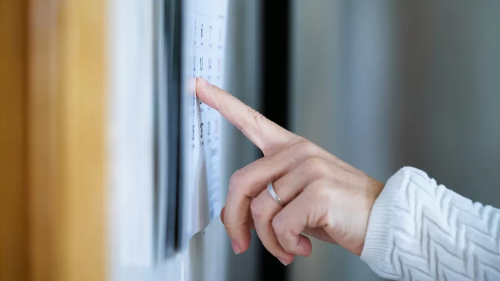 Feriados Chile 2025 (1)