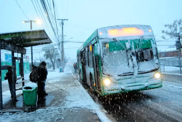 Nieve En Santiago, Michelle Adam