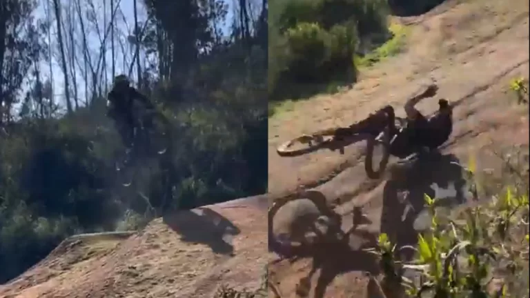 Festival De Viña (4)