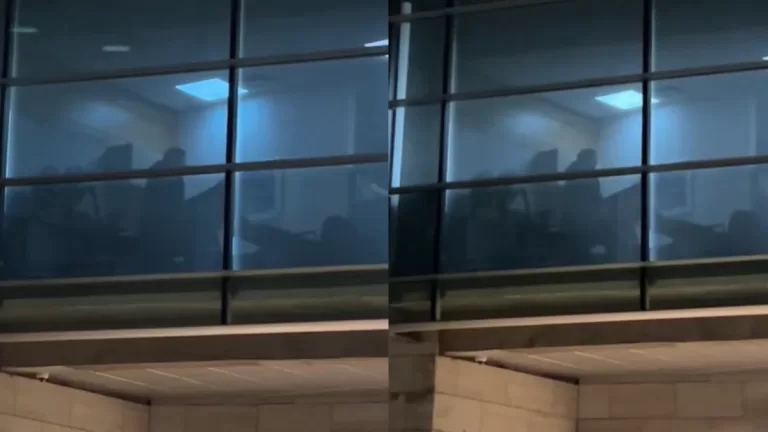 Municipalidad De Vitacura