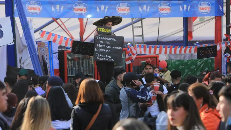 Fondas Parque O'Higgins