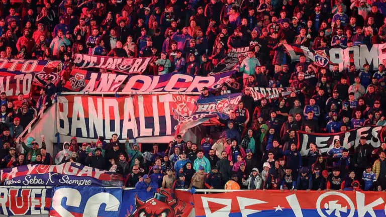 Hinchas Universidad De Chile