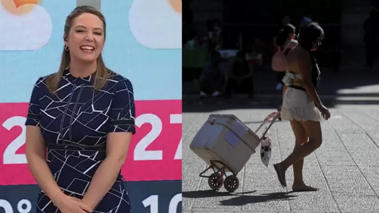 Calor En La Región Metropolitana (34)