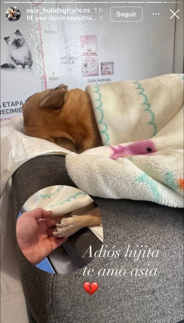 Adriana Barrientos (3)