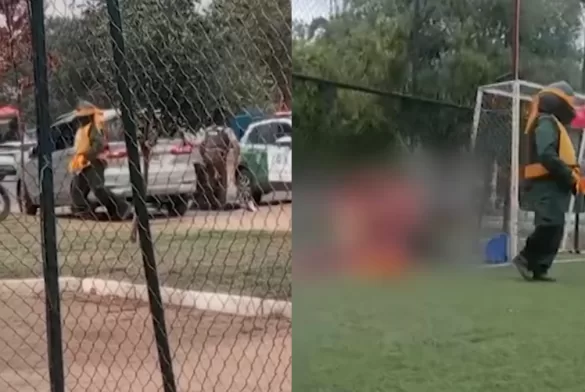 Carabineros Tortujas Ninjas