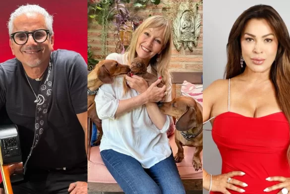 Elecciones Parlamentarias