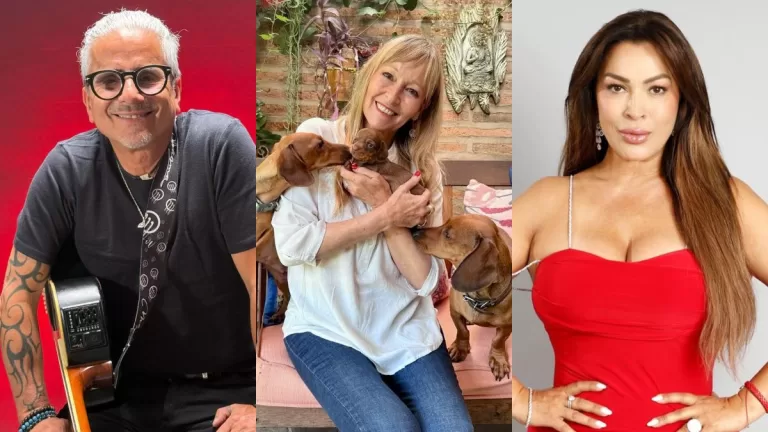 Elecciones Parlamentarias