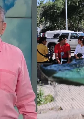 Calor En La Región Metropolitana (3)